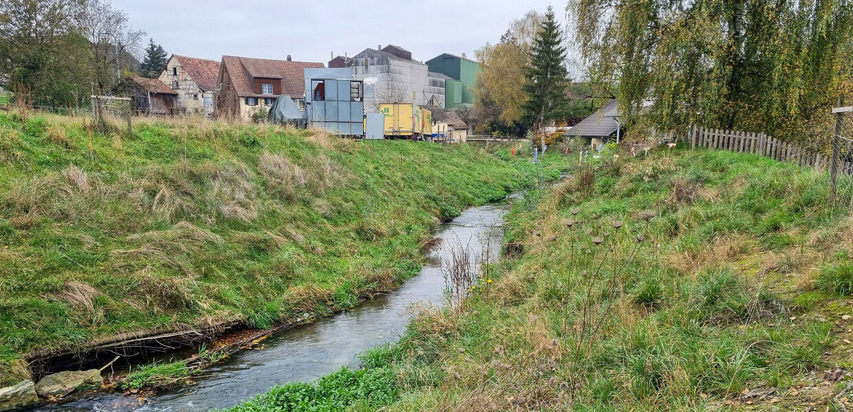 Erfolgskontrolle bei Revitalisierungen