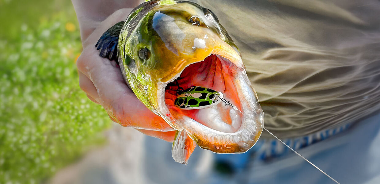 [Erfolgreich mit ultraleichten Löffeln:]</br> Das Spoon-ABC