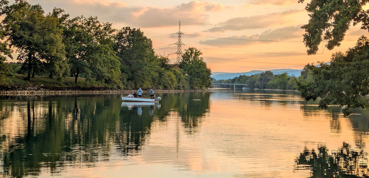 Vielseitiges Fischen an der Aare