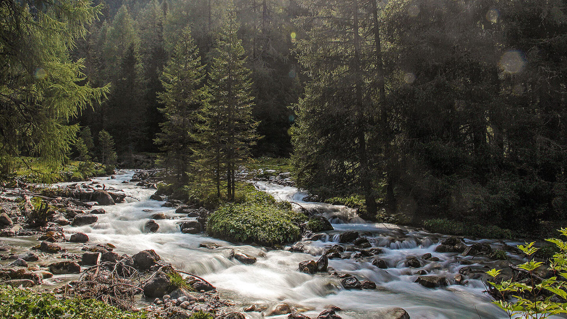 Graubünden[ – Im Land der Forellen, Saiblinge und Äschen]