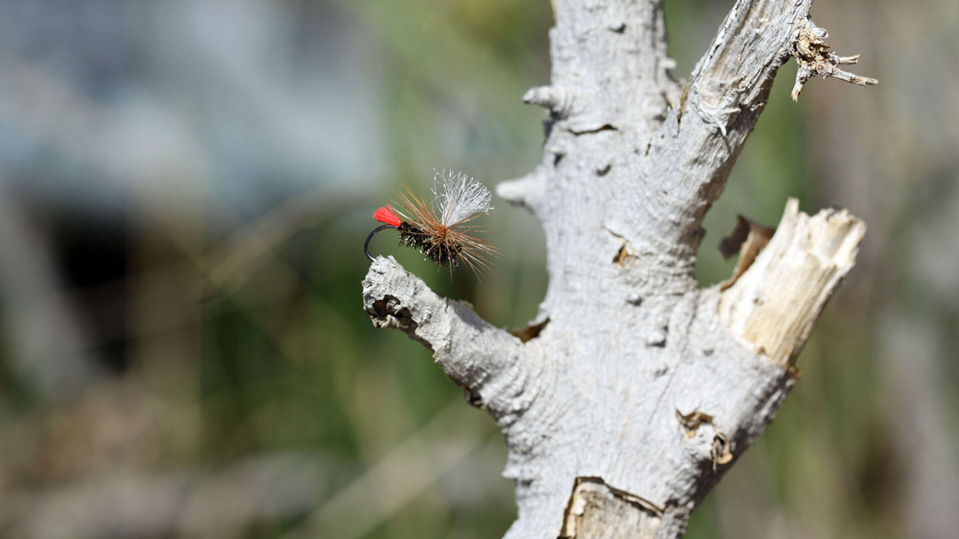 Red Tag Parachute