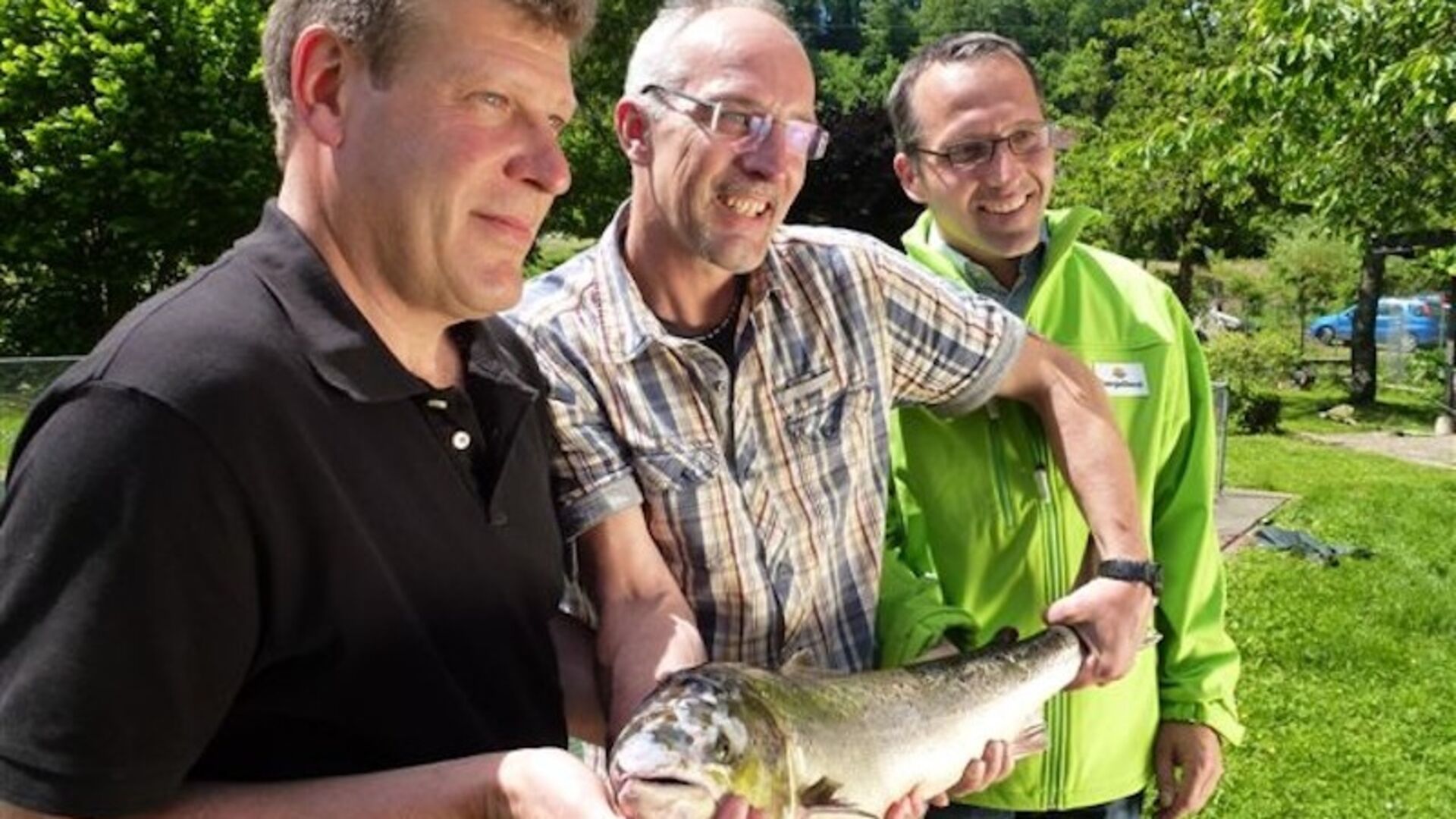 Der erste Lachs in Rheinfelden