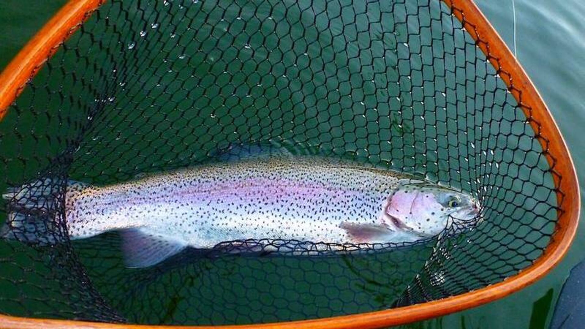 Lac de la Moselotte – Winter-Asyl für Fliegenfischer