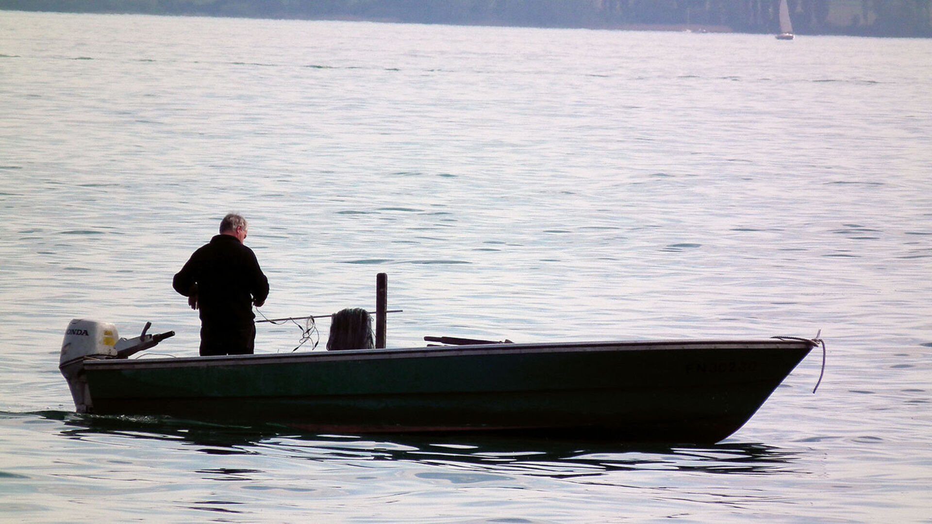 Der Bodensee im Wandel