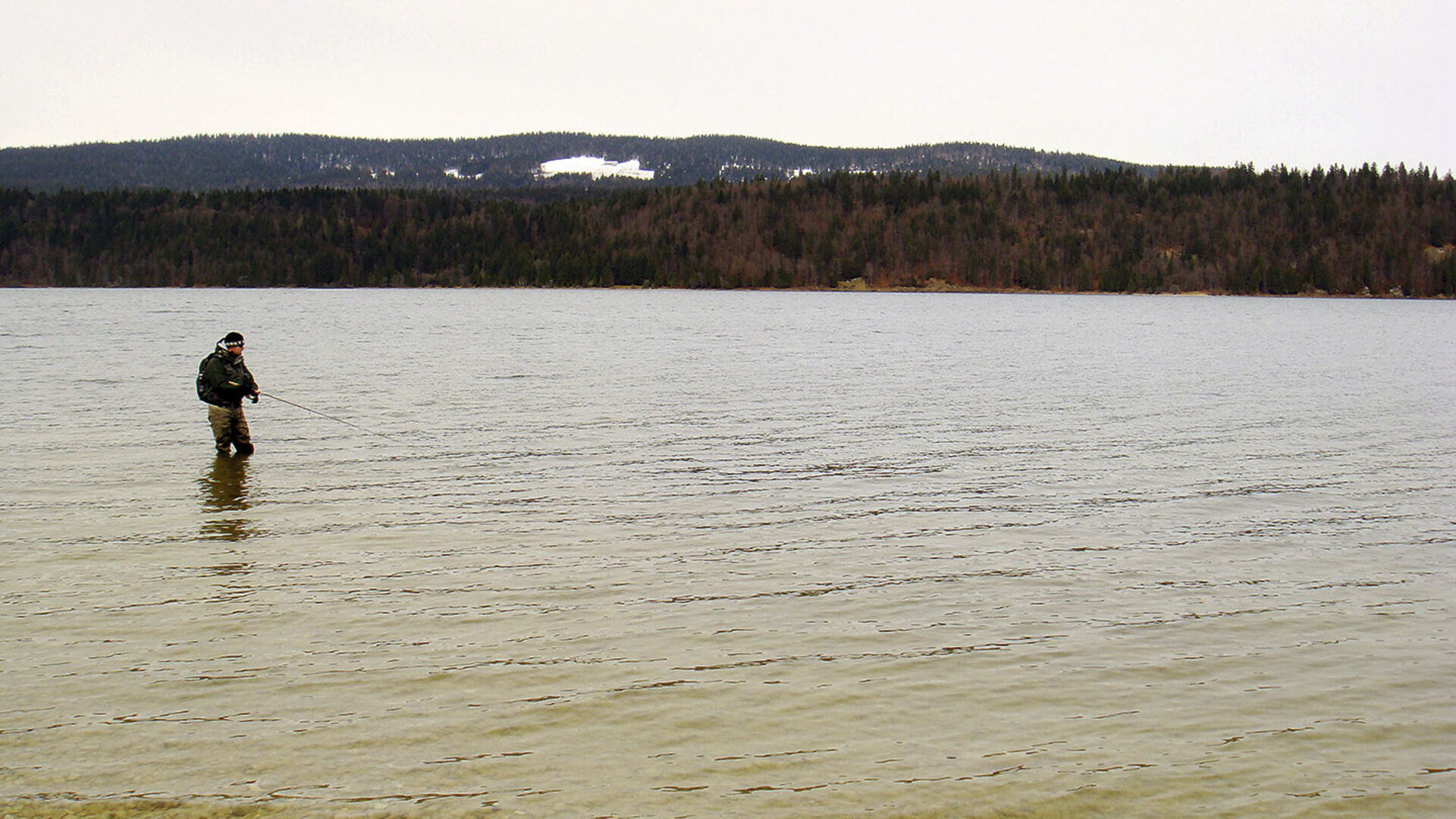 Mehr als Seeforellen & Vacherin