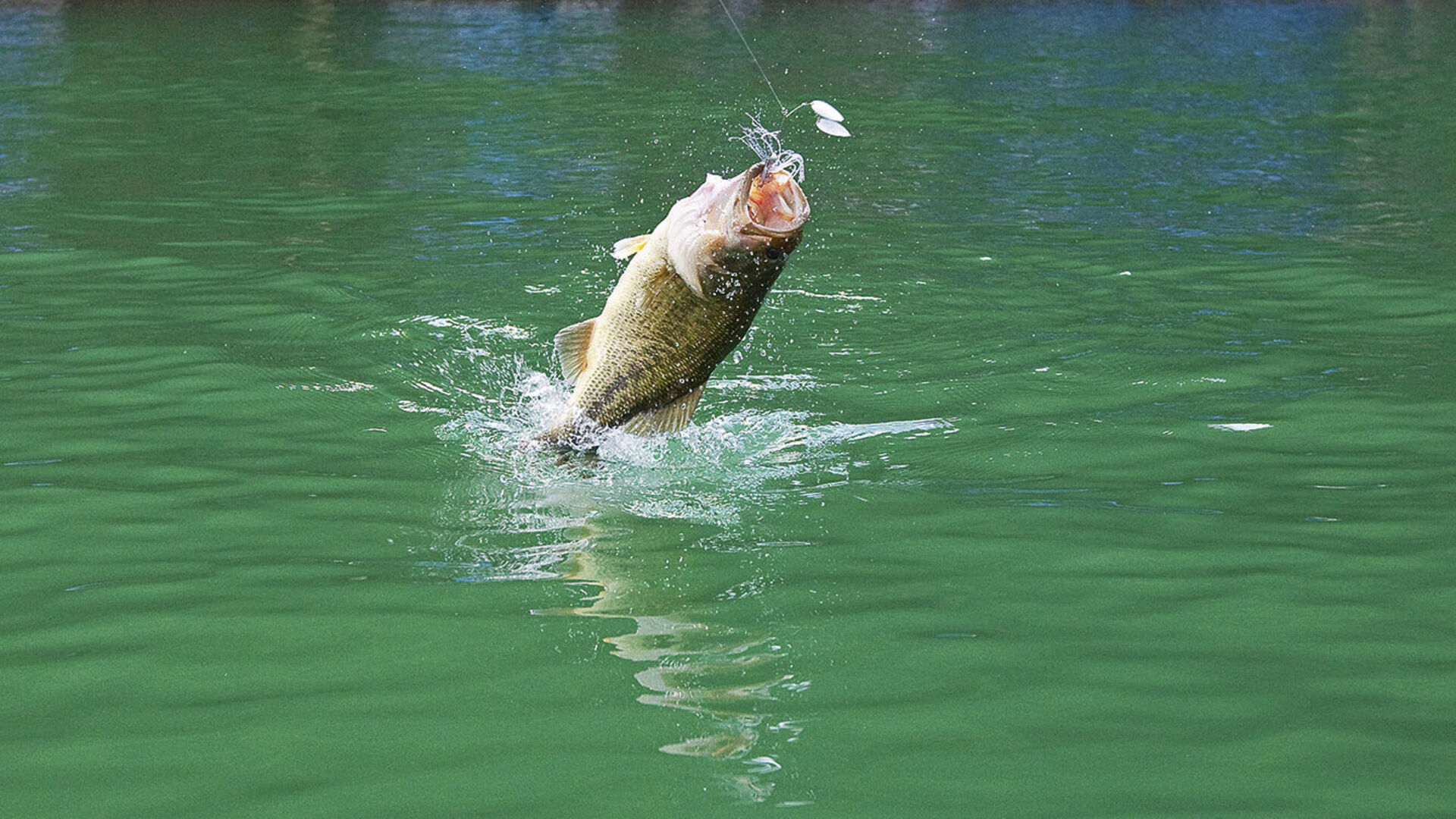 Ein Amerikaner im Tessin