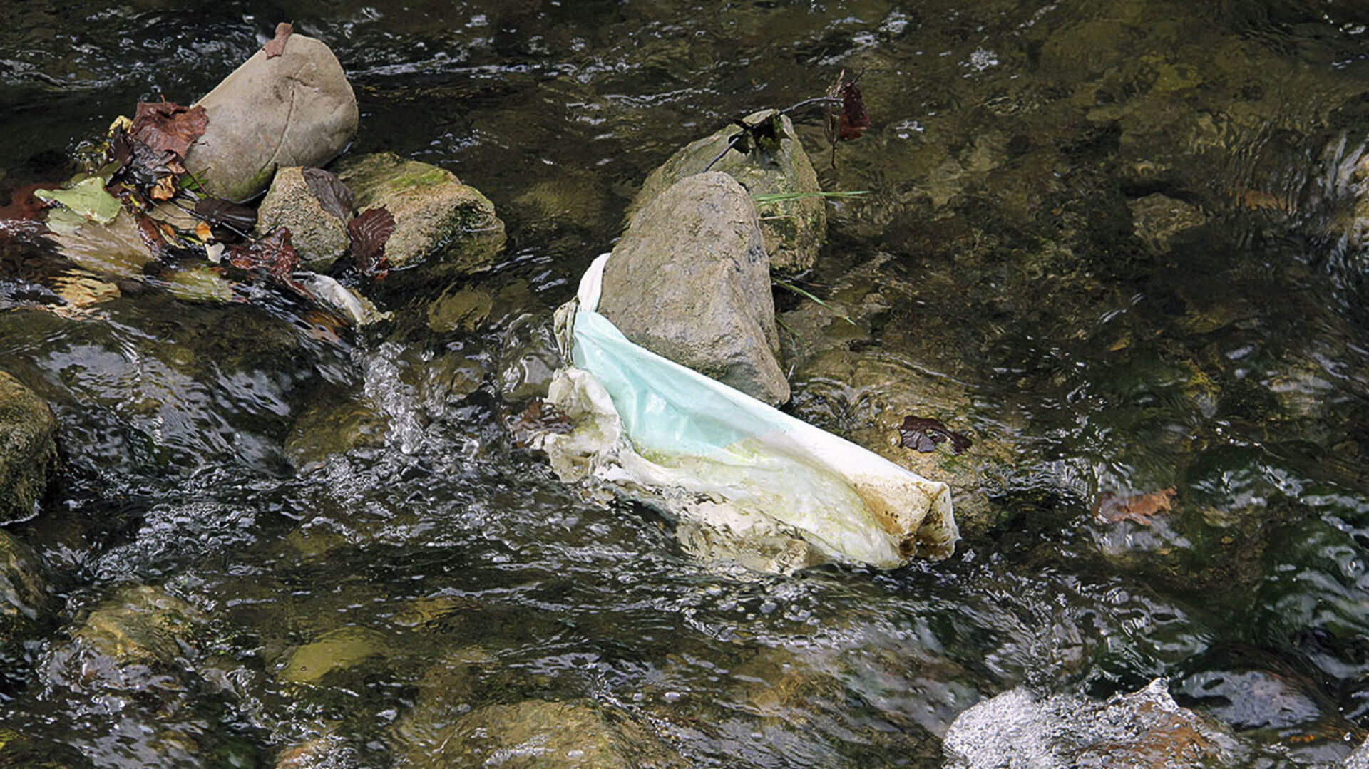 Plastik in Schweizer Gewässern