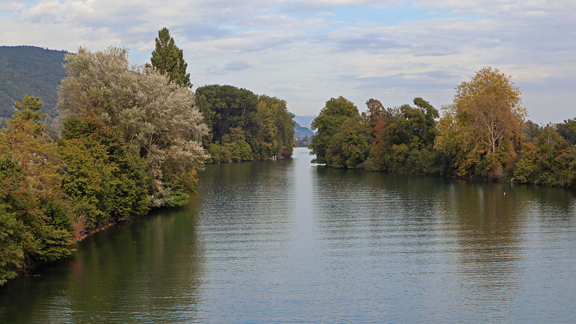 Zihlkanal [– Fischen zwischen Bieler- und Neuenburgersee]