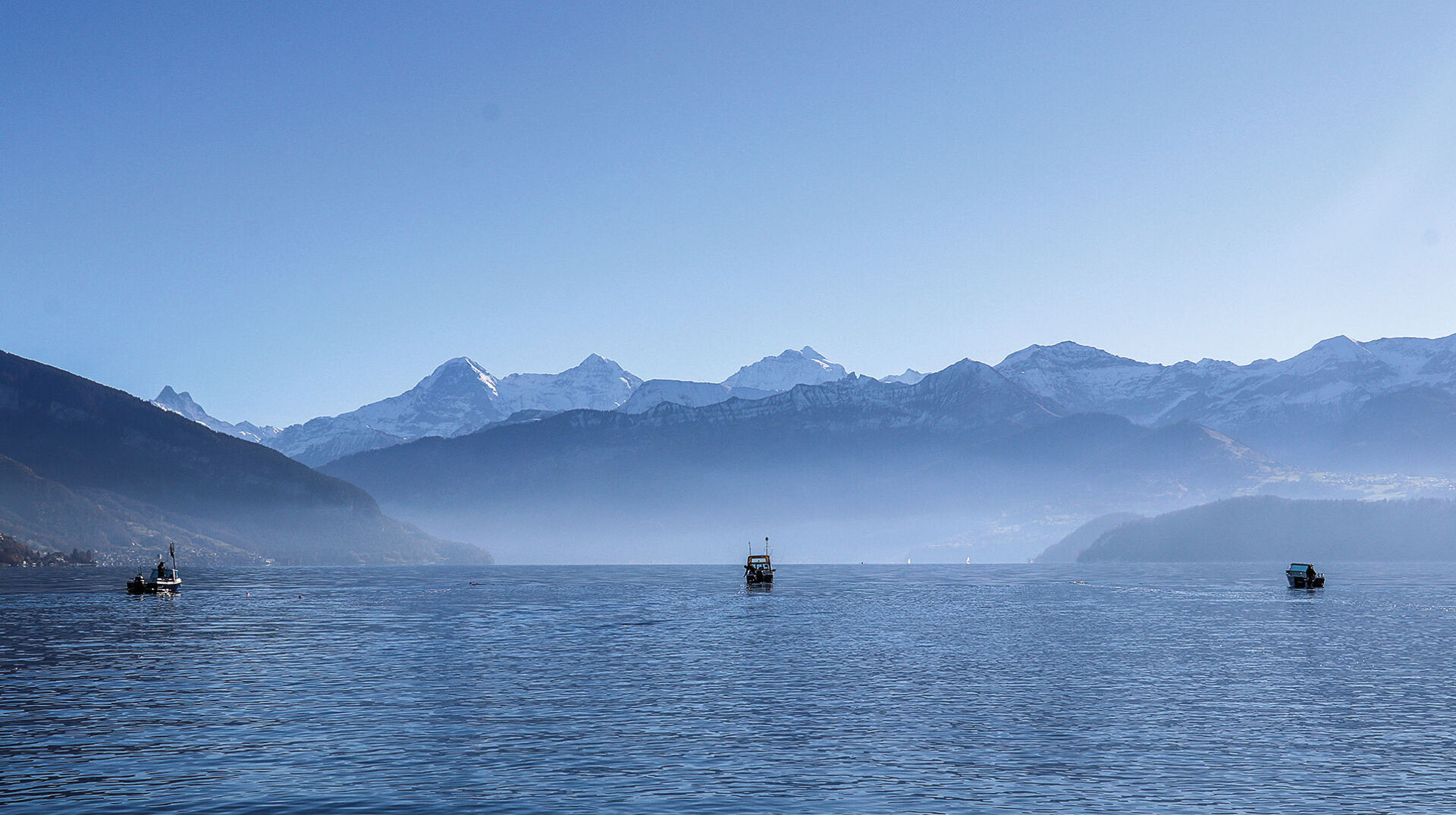 Rasante Veränderungen in den Schweizer Seen 