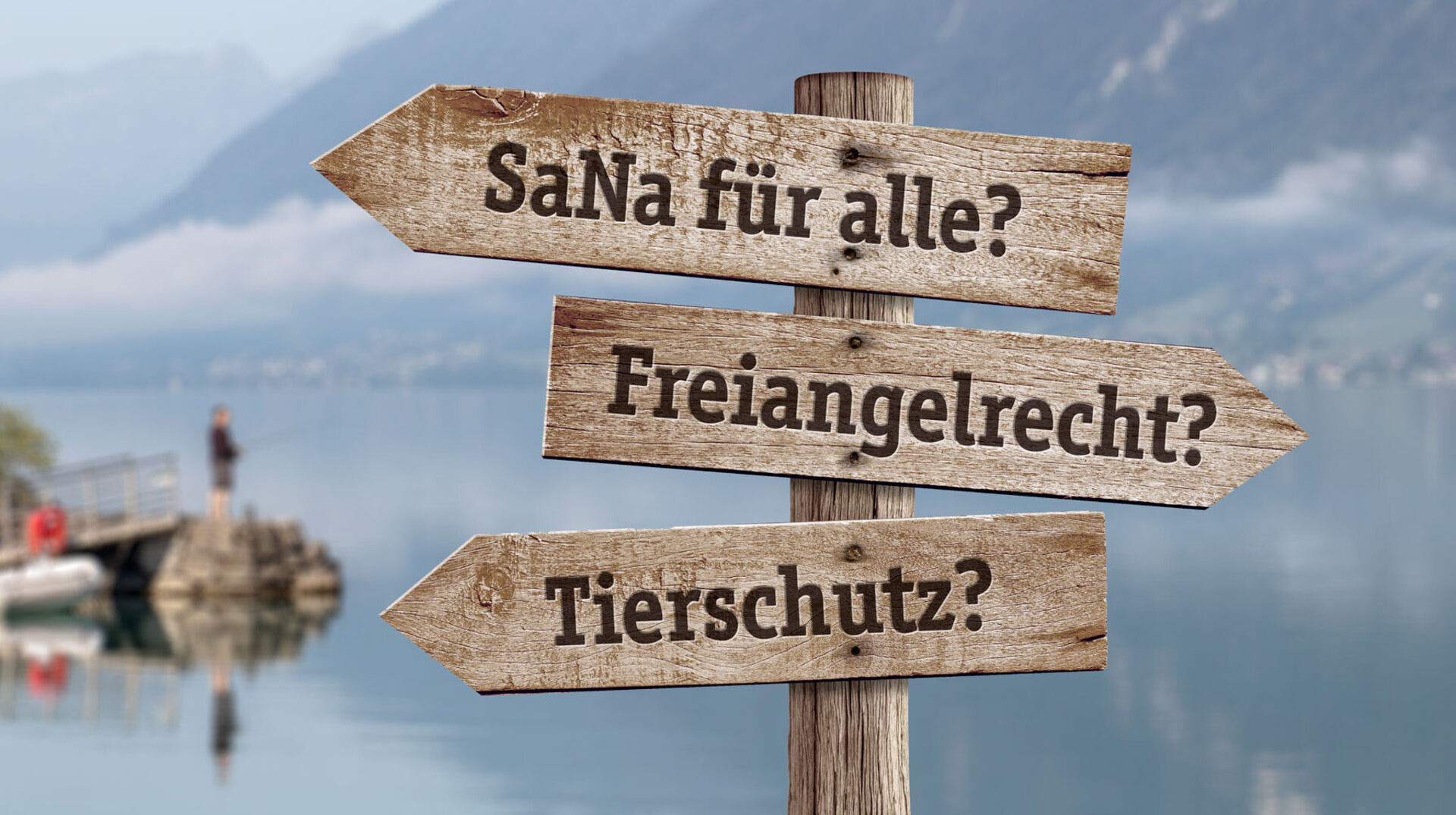 SaNa für alle – die Meinungen sind gemacht