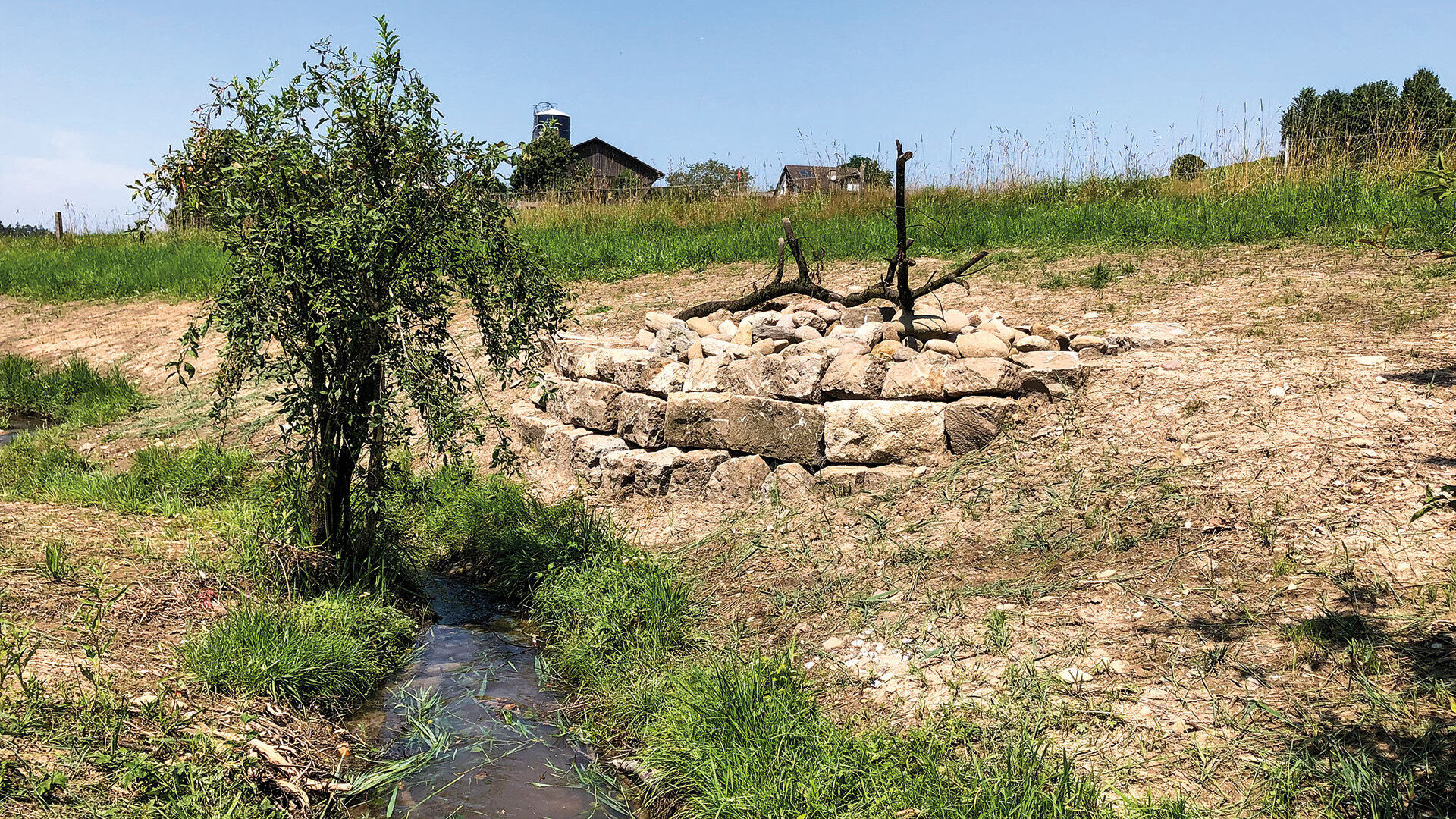Ganzheitliche Revitalisierung von Kleingewässern [| Teil 1]