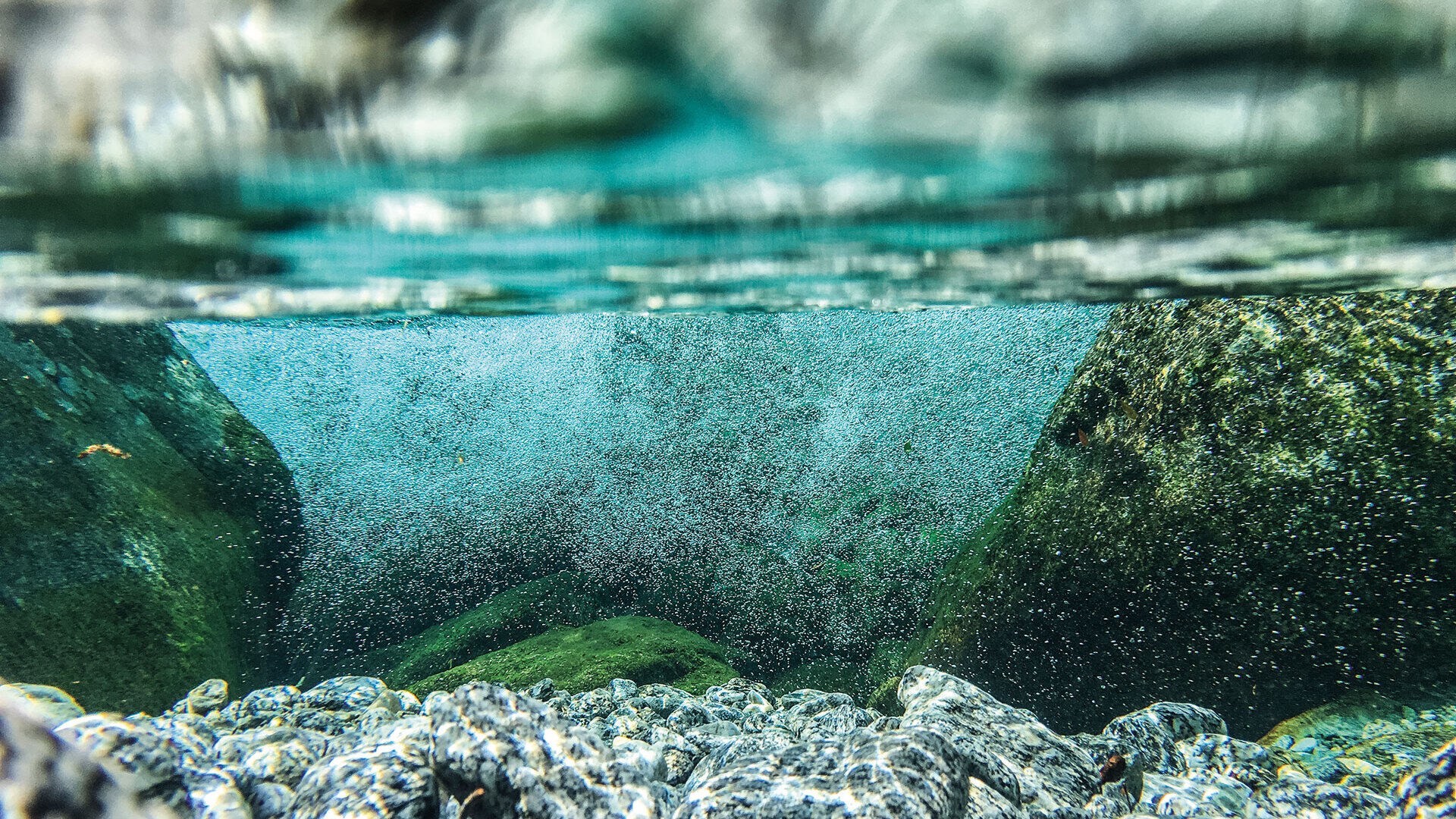 [Gastbeitrag WWF:] <br />Neues Gütesiegel «Gewässerperle PLUS» 