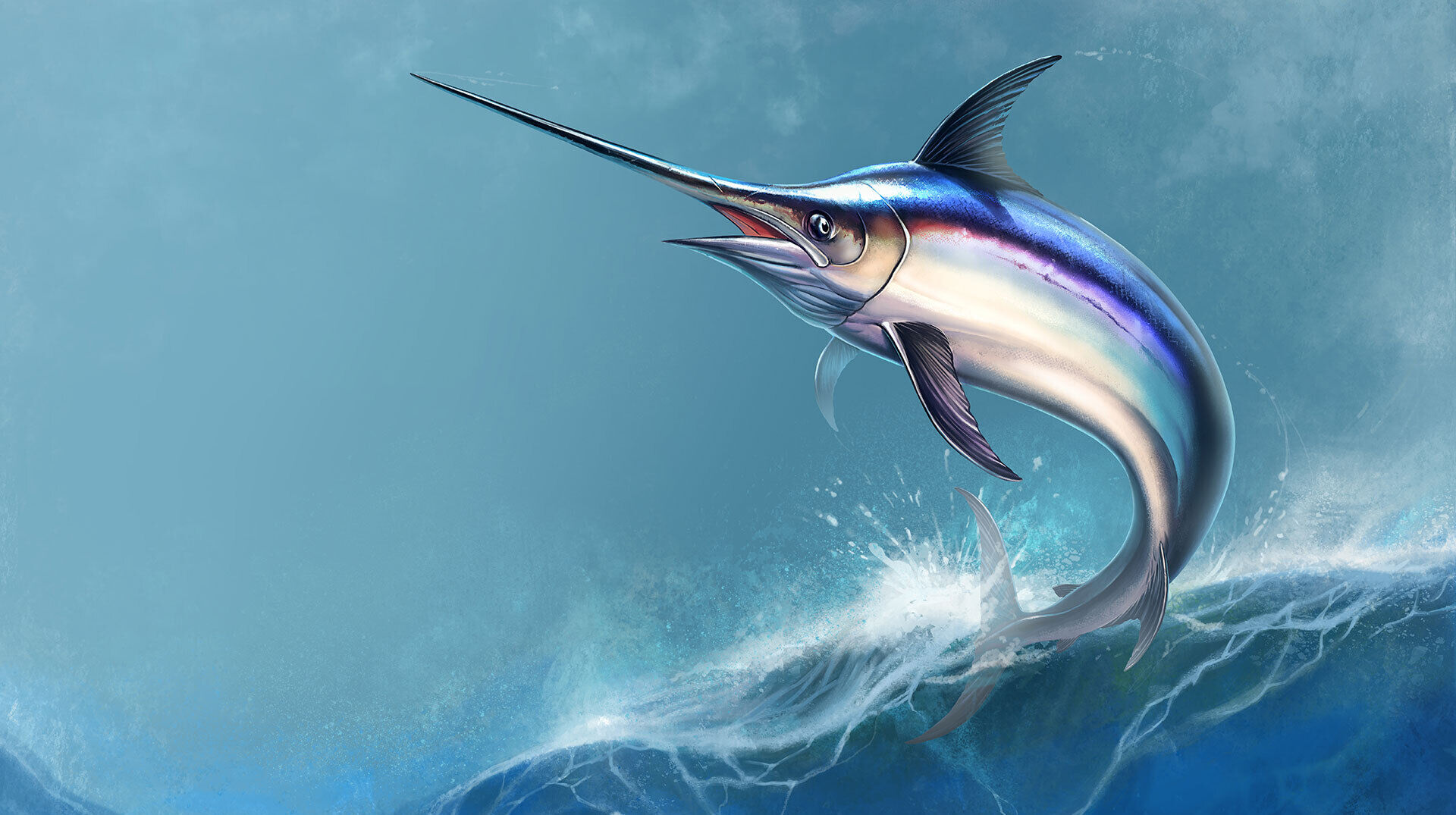 Mythos Schwertfisch – Xiphias gladius