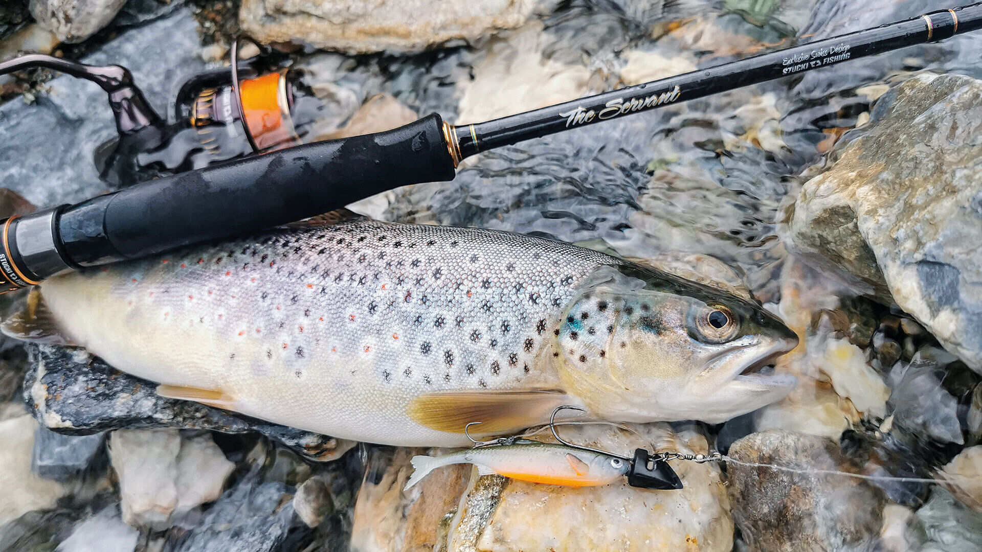 Mit Dart Jig auf Salmoniden