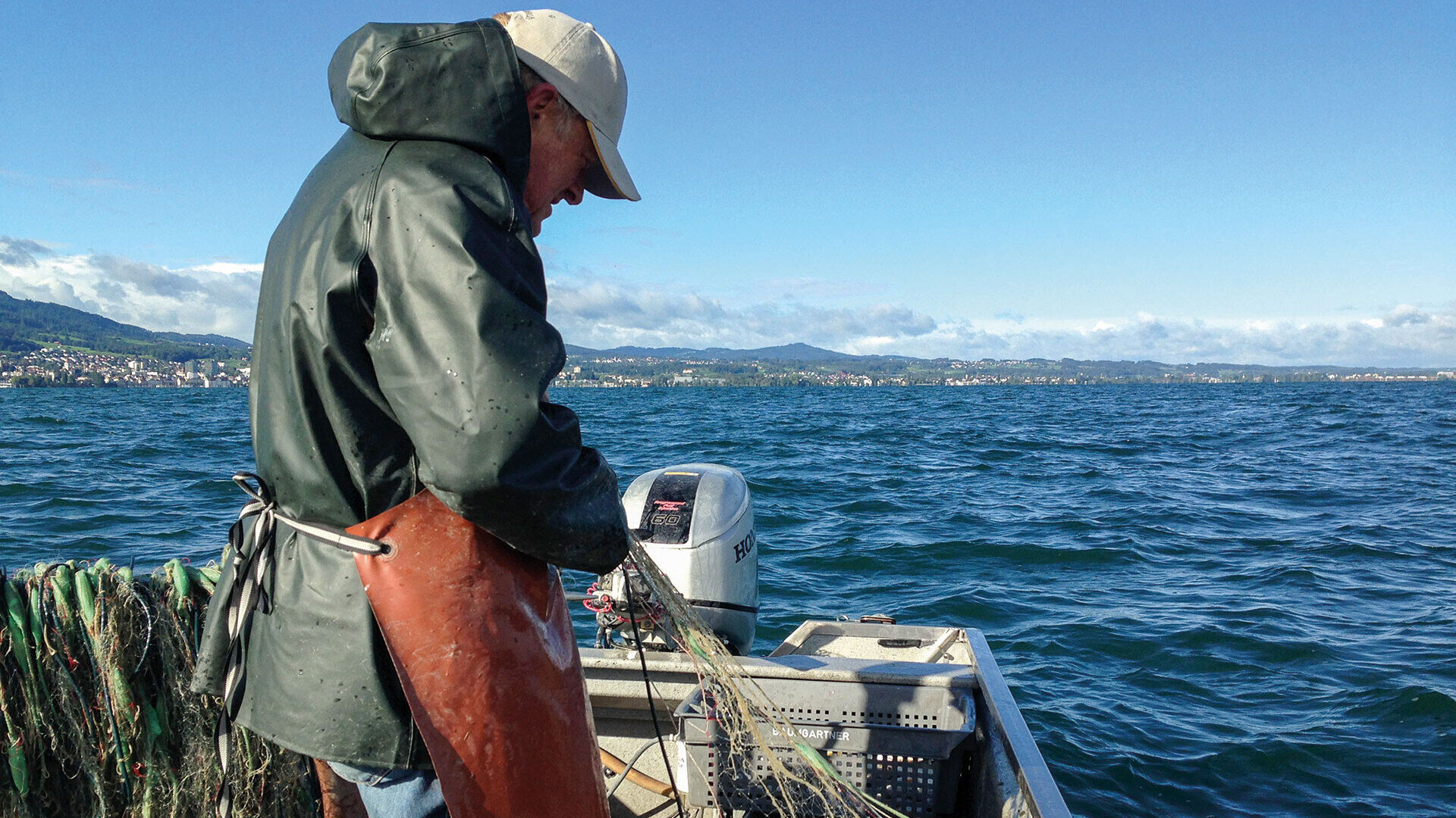 Fischereilicher Kollaps am Bodensee?