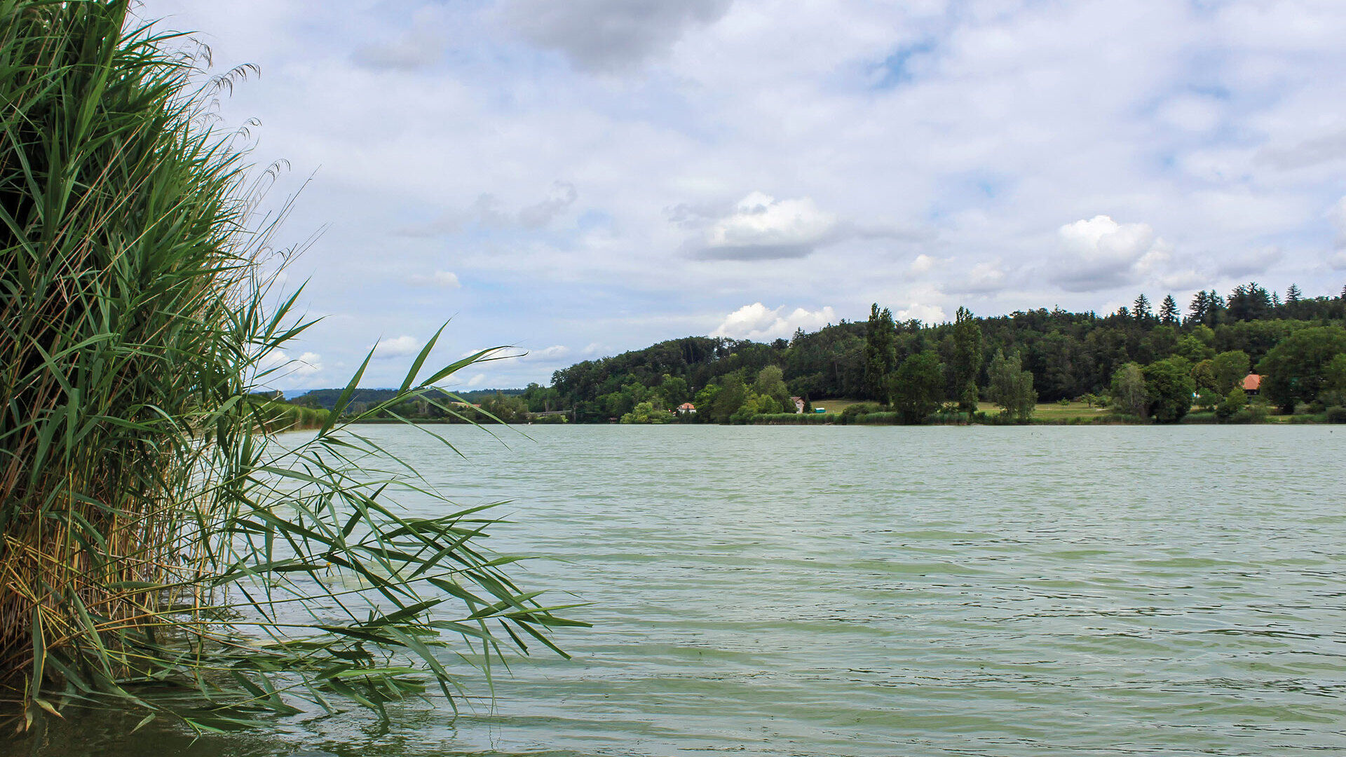 Fischen am Moossee