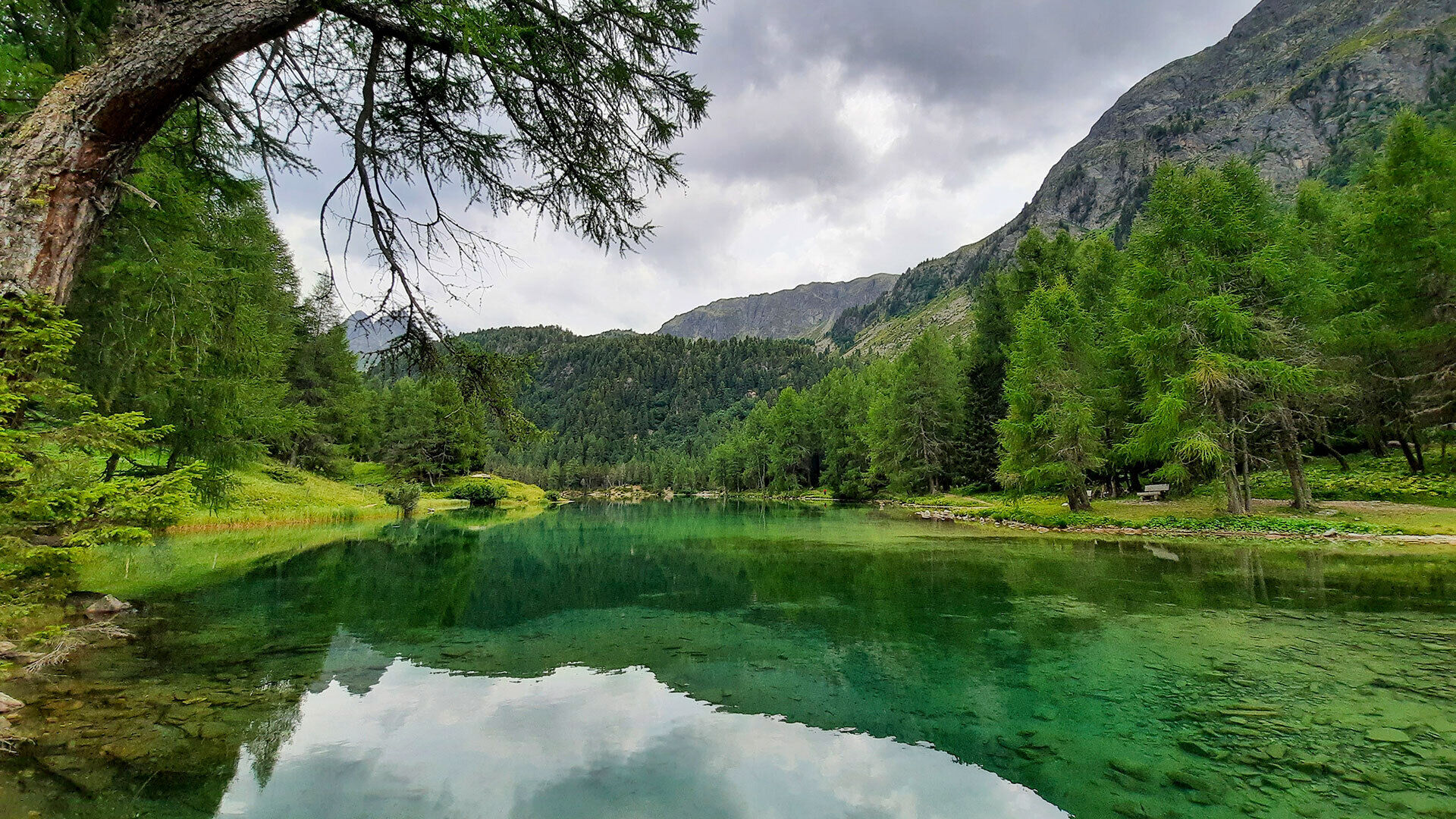 [Lai da Palpuogna:]</br>Fischen am schönsten Flecken der Schweiz