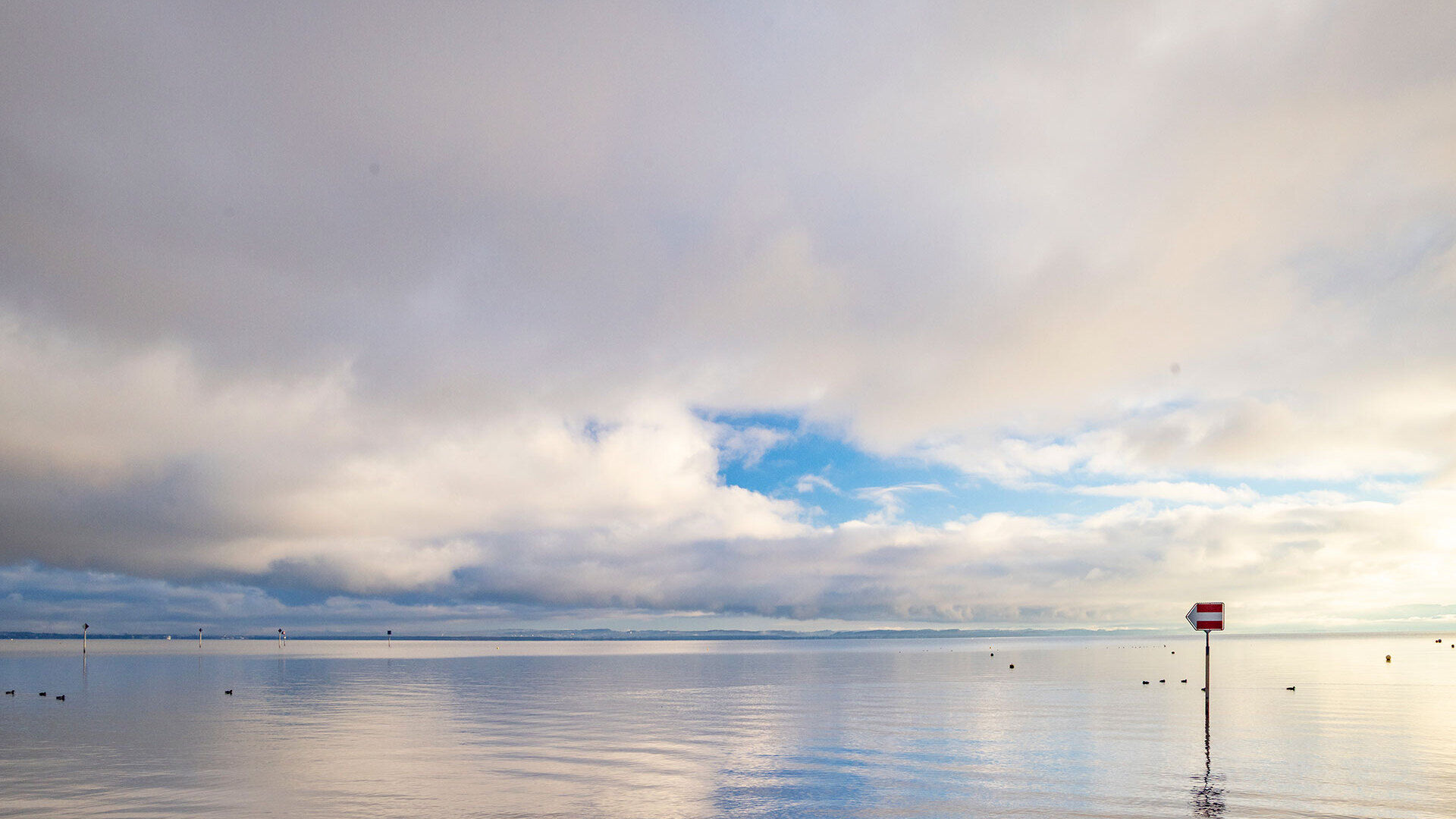 Bodensee: Neues Seeforellen-Schonmass 60 cm