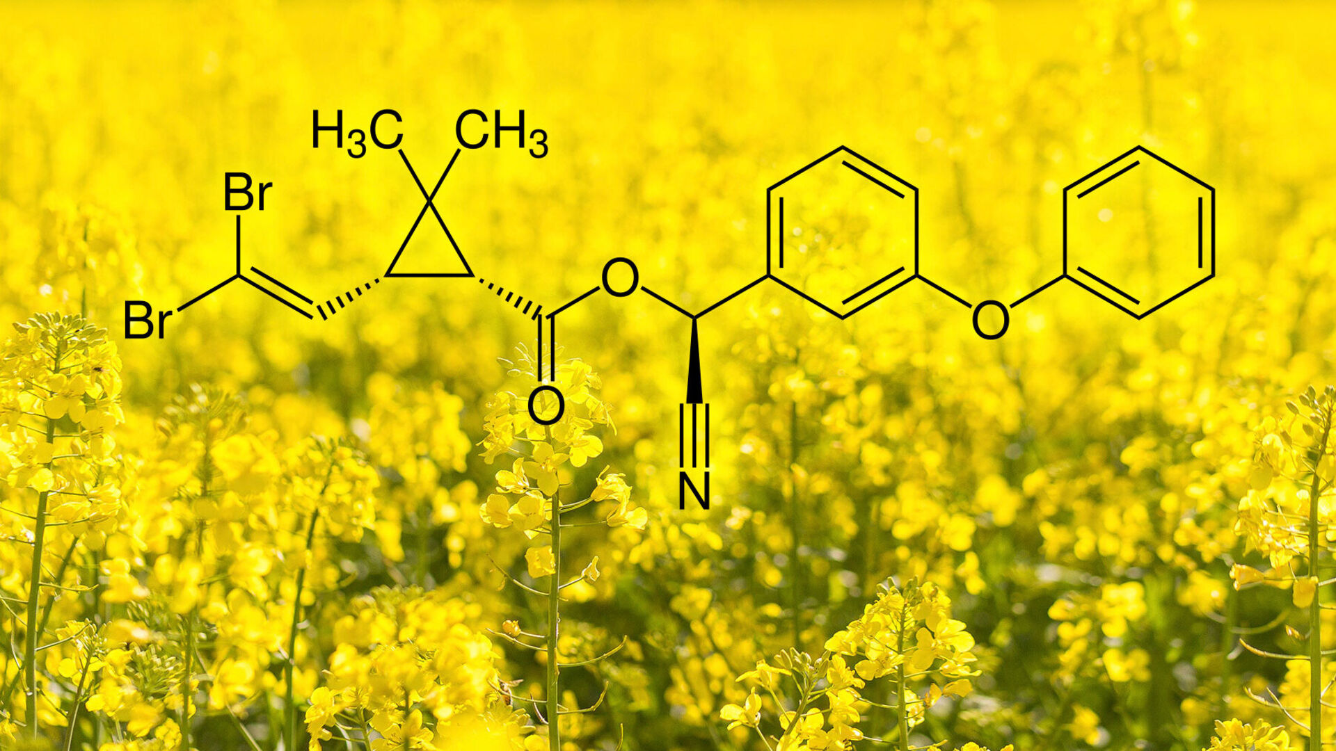 [Deltamethrin:] Gift für unsere Gewässer