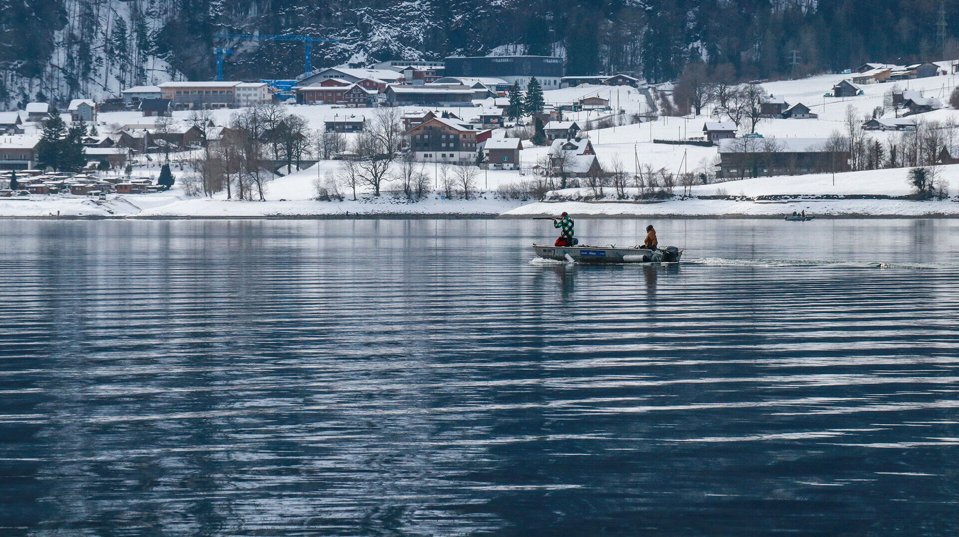 Kormoranmanagement in der Schweiz