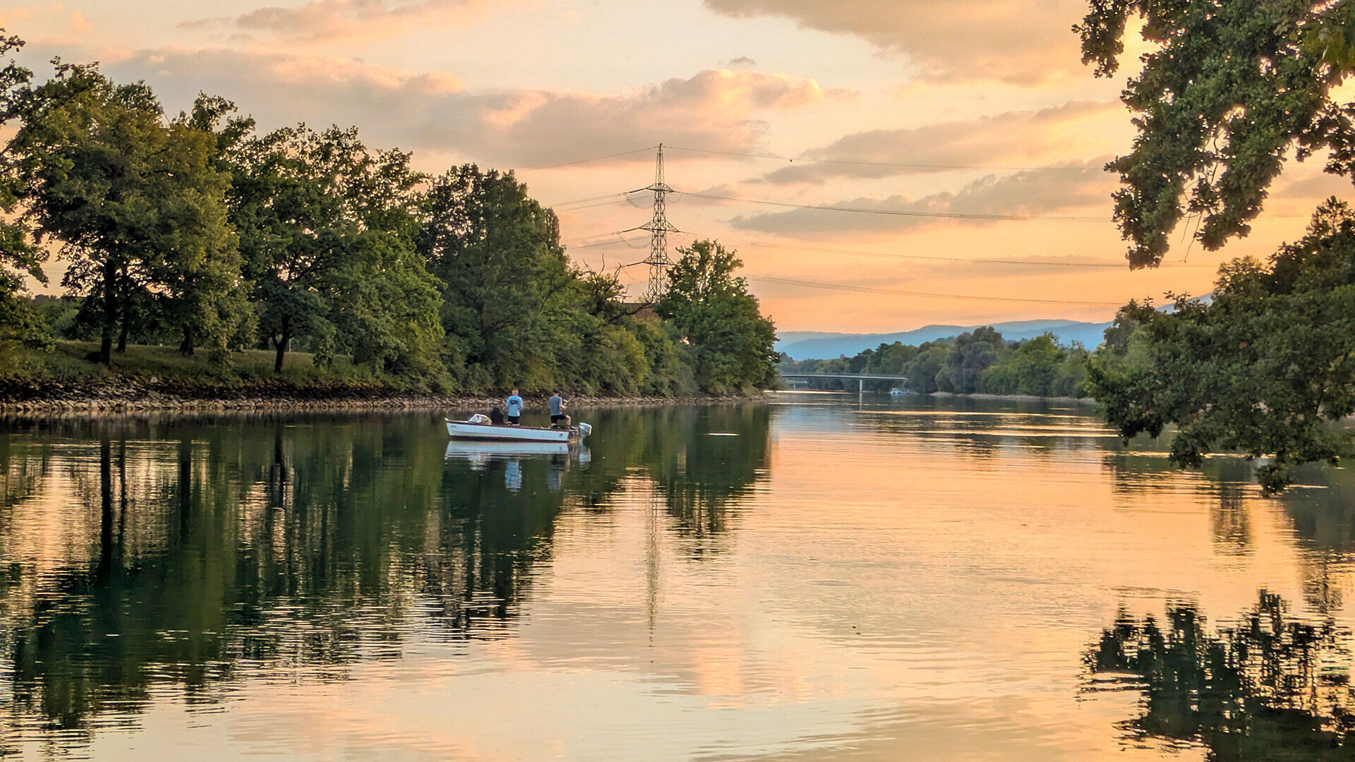 Vielseitiges Fischen an der Aare