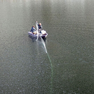 Der Fall Fählensee