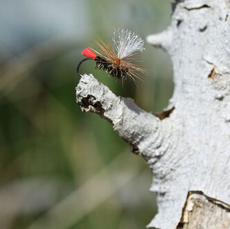 Red Tag Parachute