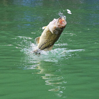 Ein Amerikaner im Tessin