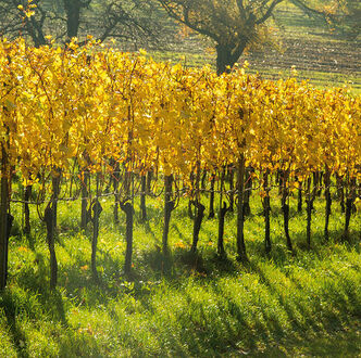 [Was läuft im] Oktober