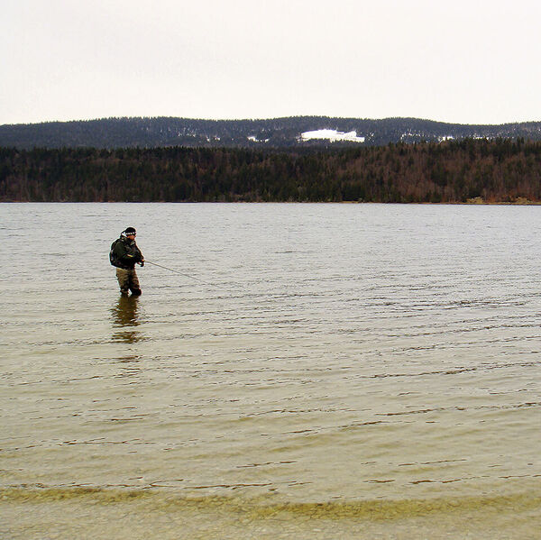 Mehr als Seeforellen & Vacherin