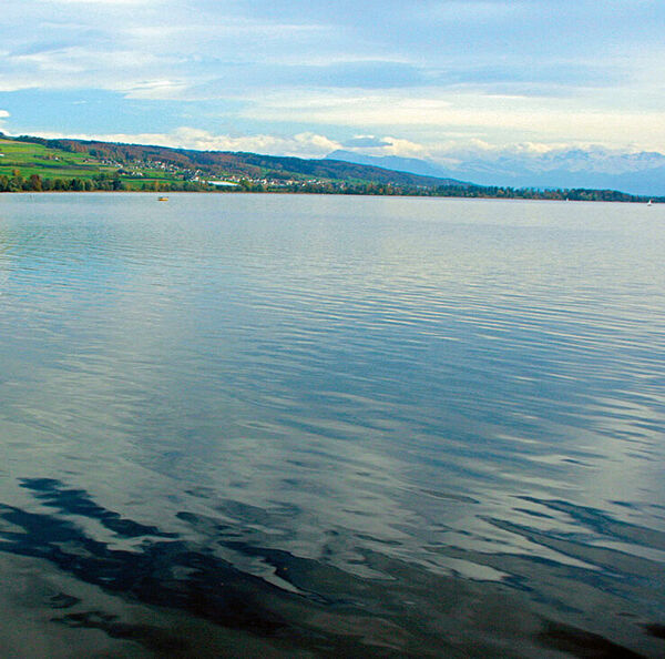 Fischbesatz in Seen – funktioniert das?