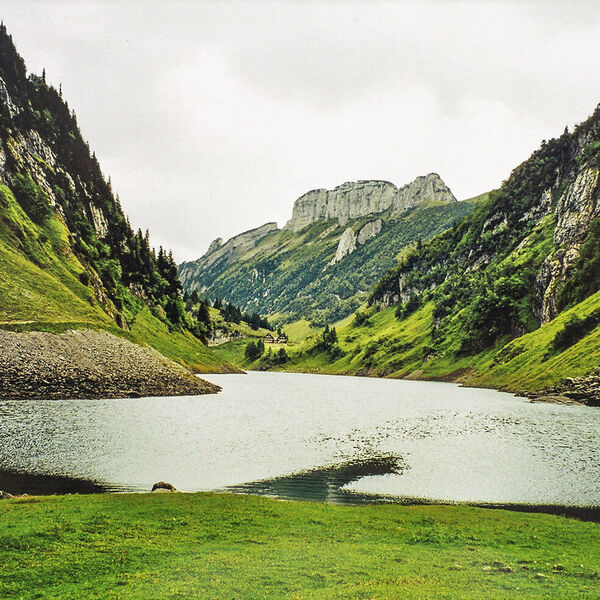 Der Fählensee – mein Lieblingssee