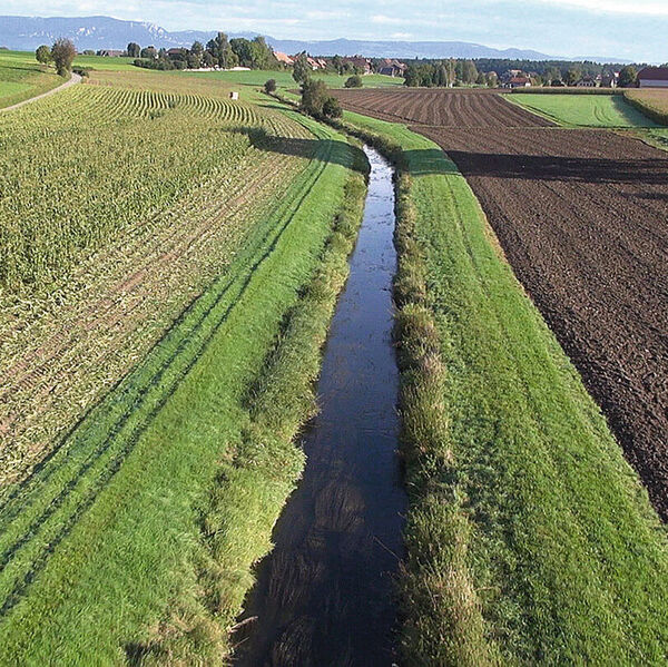 Wie schlecht geht es unseren Fischen?