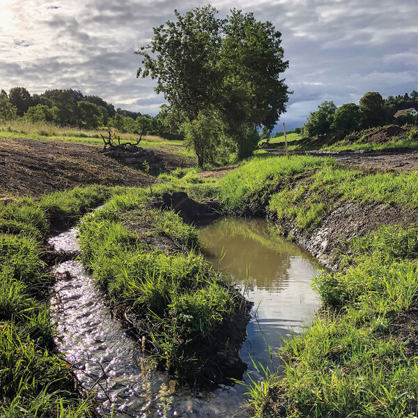 Ganzheitliche Revitalisierung von Kleingewässern [| Teil 1]