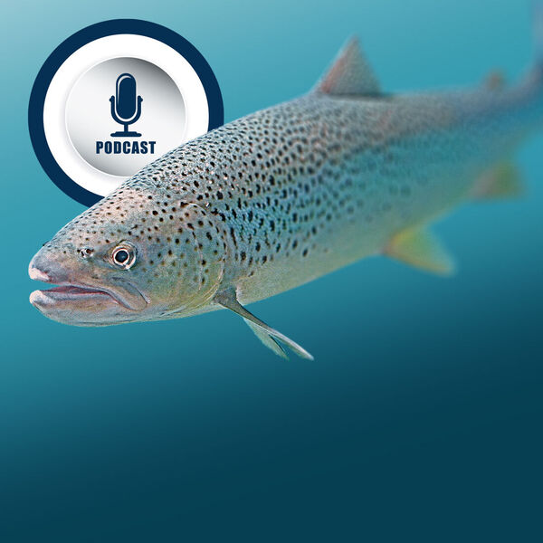 [Podcast |] 12 Monate, 12 Fische 