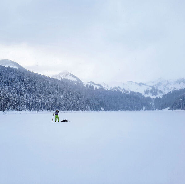 Eisige Ruhe am Arnensee