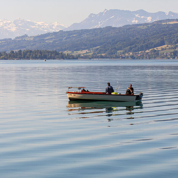 [Hallwilersee]<br/>Malaise mit der Ökosystemleistung «Fischfang» 