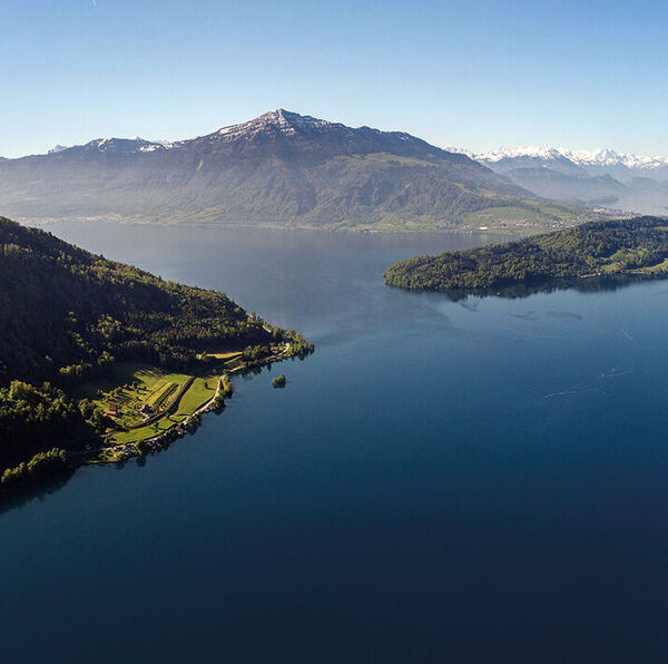 [Der Zugersee:]</br>Tiefblaues Wasser zwischen mächtigen Bergen