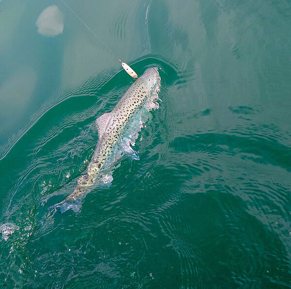 [Pearllure:] <br/>20 Jahre fängiges Handwerk