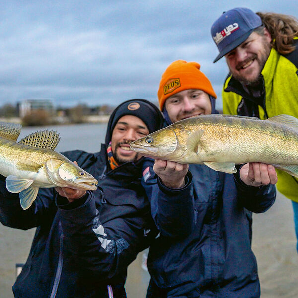 Fischreiche Maas