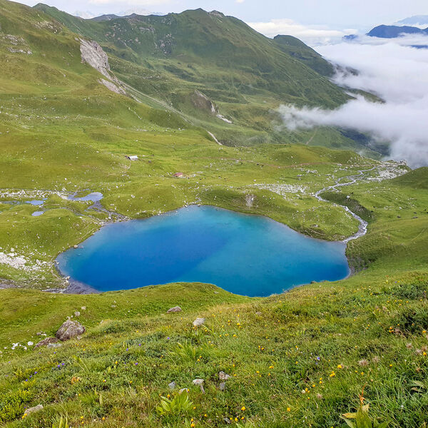Fischen rund um Arosa