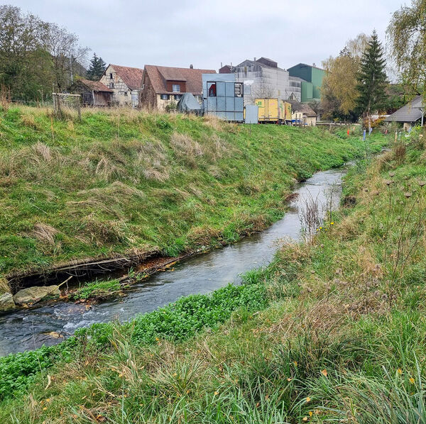 Erfolgskontrolle bei Revitalisierungen