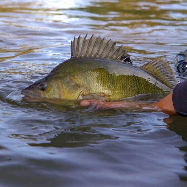 Vielversprechender Start in die Egli-Saison