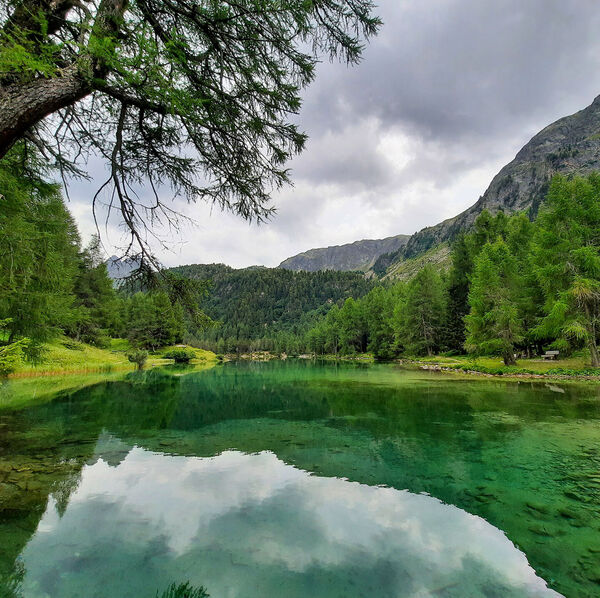 [Lai da Palpuogna:]</br>Fischen am schönsten Flecken der Schweiz