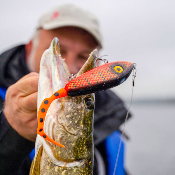 [Tailbaits:] <br/>Halb Jerkbait und halb Twister