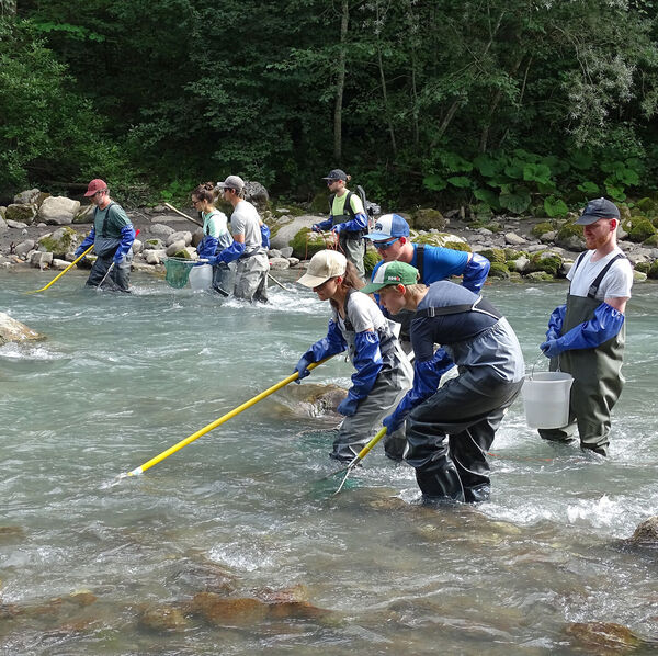 Maison de la Rivière: <br/>[Wie sich die Westschweizer Fischgemeinschaften verändern]