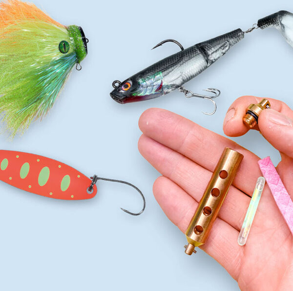 Köderentdeckungen 2025