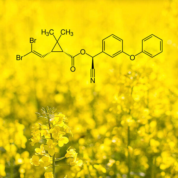 [Deltamethrin:] Gift für unsere Gewässer