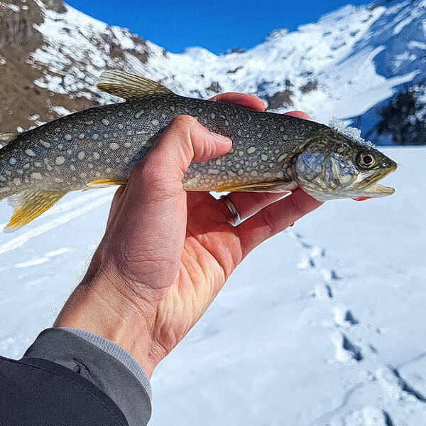 Eisfischen im Frühling