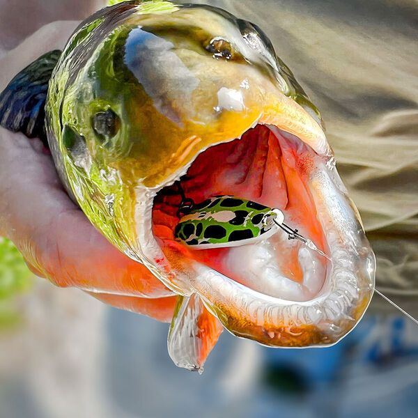 [Erfolgreich mit ultraleichten Löffeln:]</br> Das Spoon-ABC